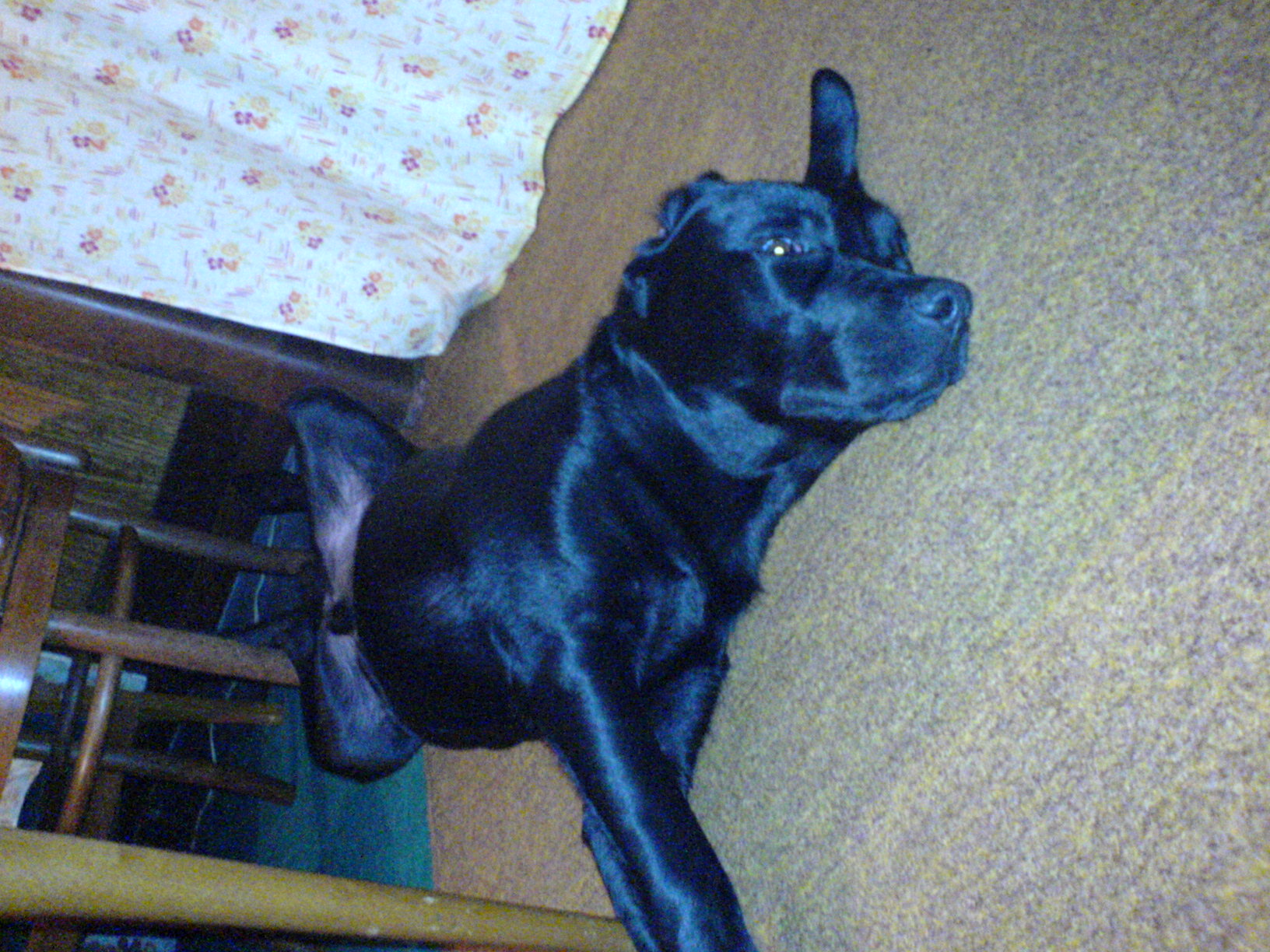 DSC00022.JPG
