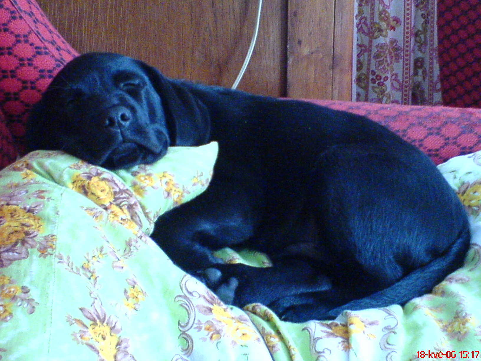 DSC00157.jpg